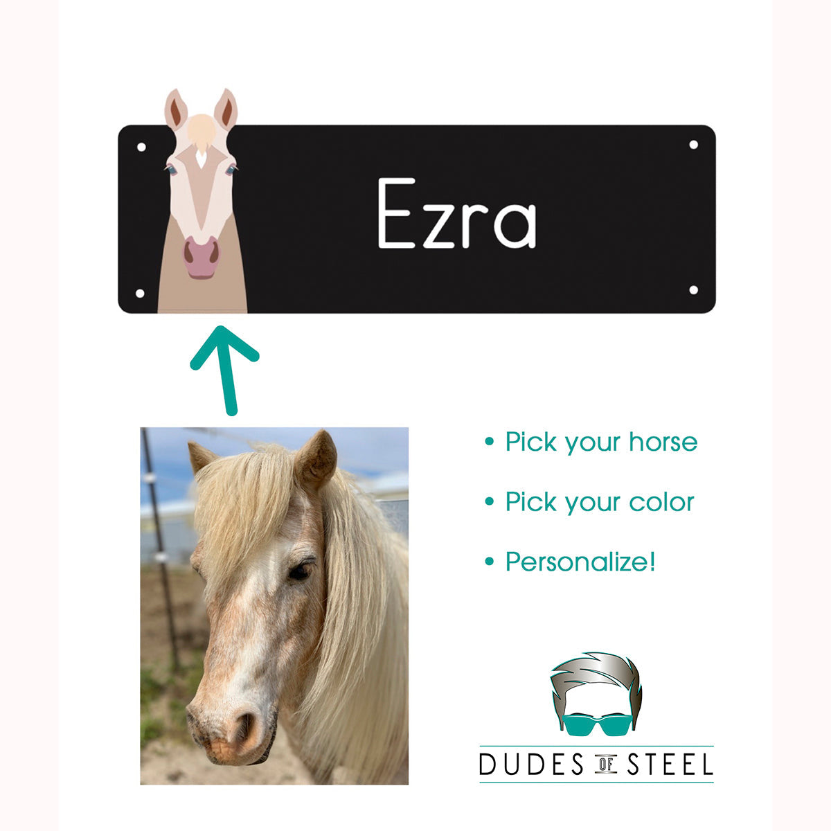 Personalized Horse Stall Nameplate in Color