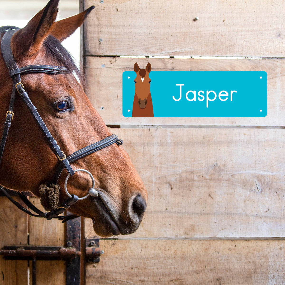 Personalized Horse Stall Nameplate in Color